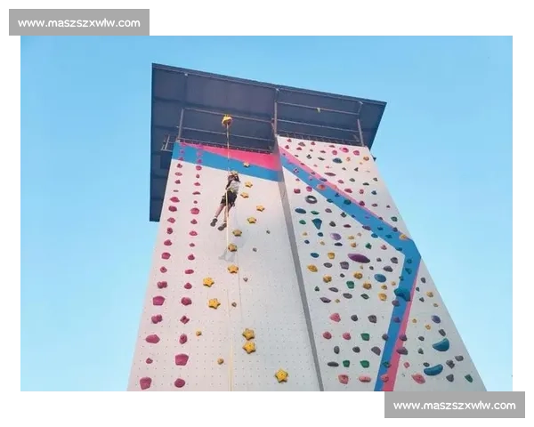 激烈角逐与极限挑战并行,探索攀岩比赛的激情与技巧完美结合 激烈角逐与极限挑战并行,探索攀岩比赛的激情与技巧完美结合