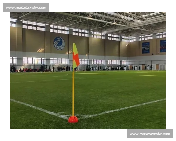 围绕足球比赛绿色直播打造沉浸体验与实时互动观赛新生态发展路径